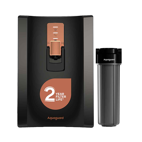 Eureka Forbes Aquaguard Enrich Superio RO+UV Stainless Steel | 2 Year Filter Life | With Mega Sediment Filter